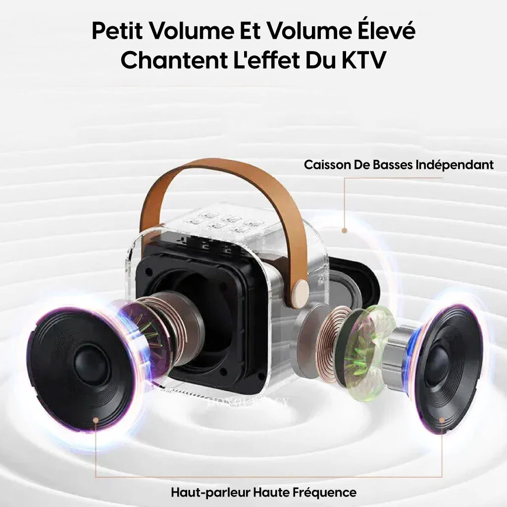 Mini-haut-parleur Portable Karaoké + 2 Microphones